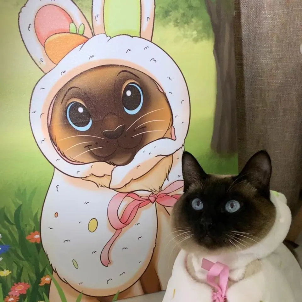 Custom Cartoon Pet Portrait Canvas Hand-Drawn By Photo — view 2