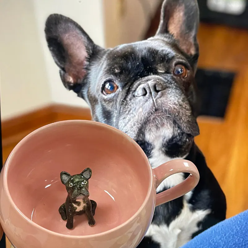 Handmade Custom Pet Figurine Mug — Classic — view 5
