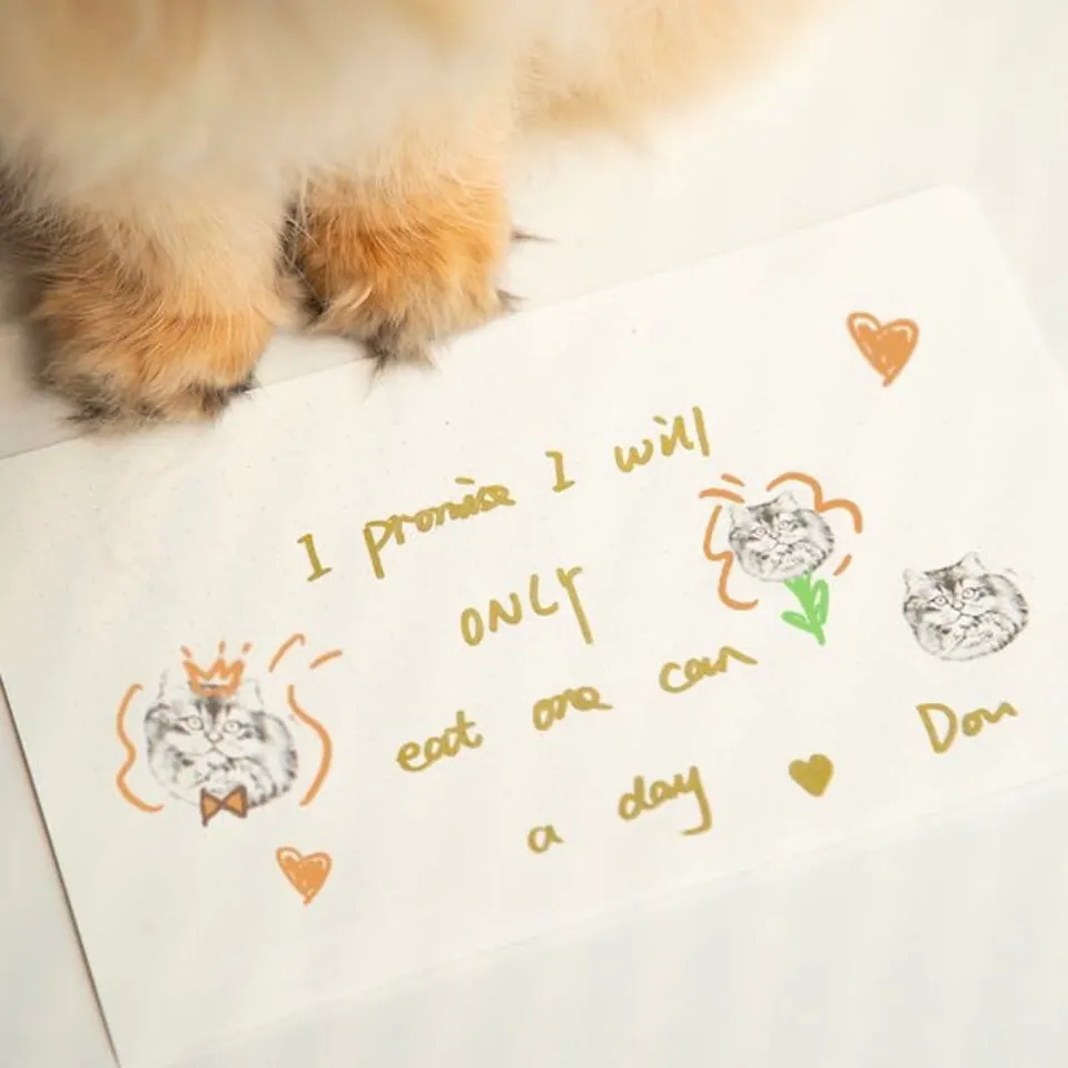 Custom Pet Portrait Stamp — view 9
