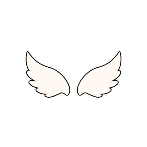 Angel Wings On Back