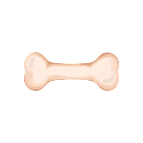 Bone Next To Pet
