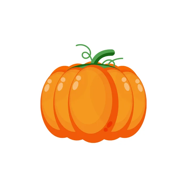 Pumpkin Next To Pet